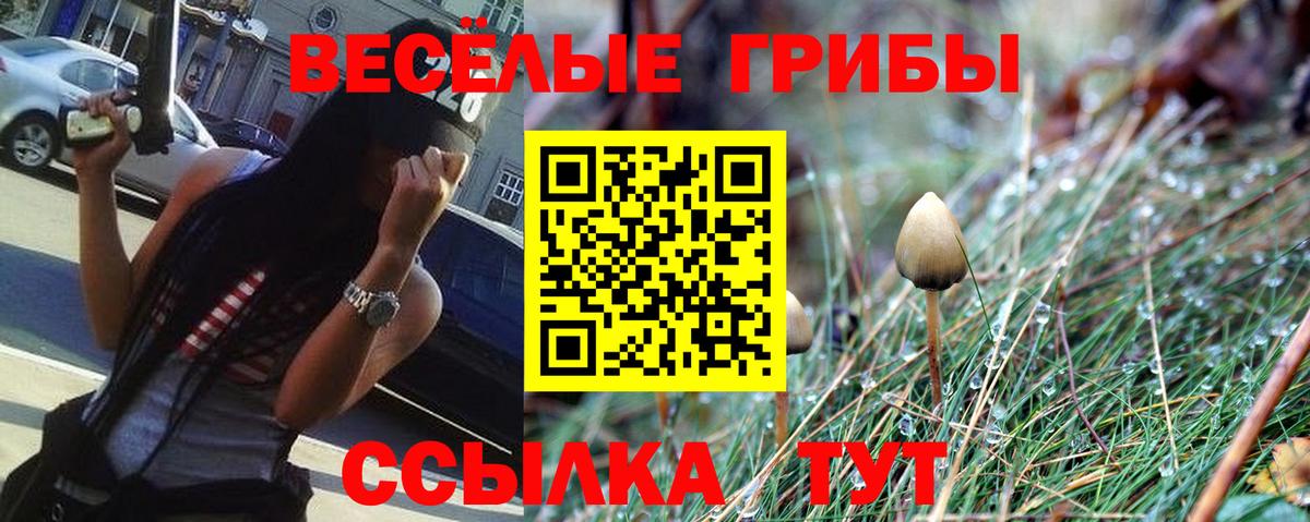 Псилоцибиновые грибы Psilocybe Артёмовский