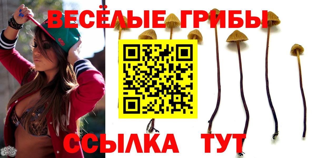 Псилоцибиновые грибы Magic Shrooms  Псилоцибиновые грибы мицелий  Артёмовский  Вход с VPN 